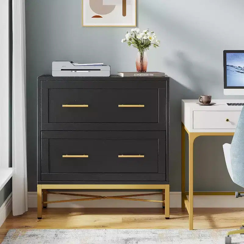 Lantine 2-Drawer File Cabinet, Modern Wood Lateral Filing Cabinet for Letter/Legal/A4 Size with Printer Stand for Home Office, Black and Gold