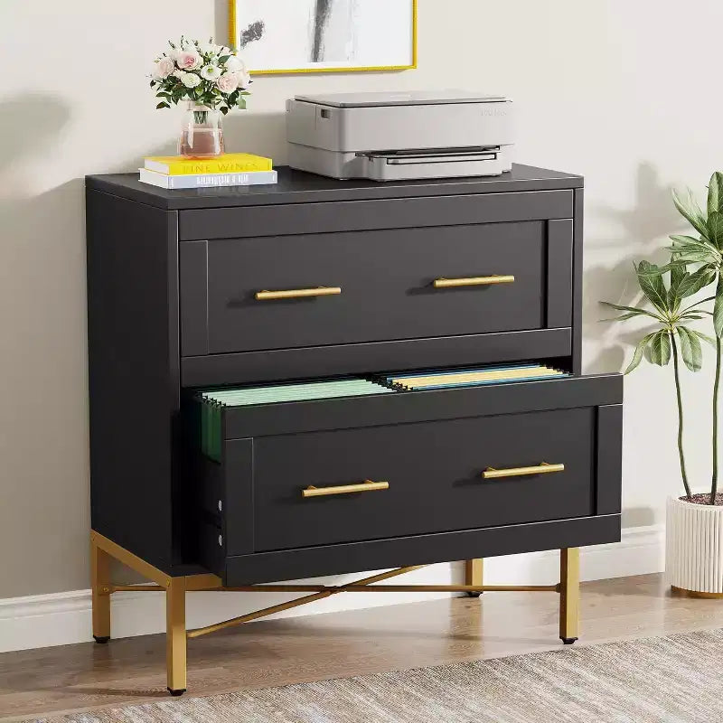 Lantine Cassettiera con 2 cassetti, Armadietto portadocumenti laterale moderno in legno per documenti formato Letter/Legale/A4 con supporto per stampante per ufficio a casa, Nero e oro