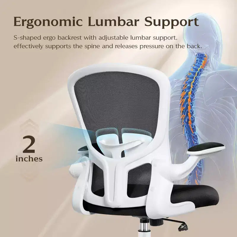 Sedie da ufficio KERDOM, sedia ergonomica per PC con ruote, supporto lombare e altezza regolabili, sedia girevole da computer