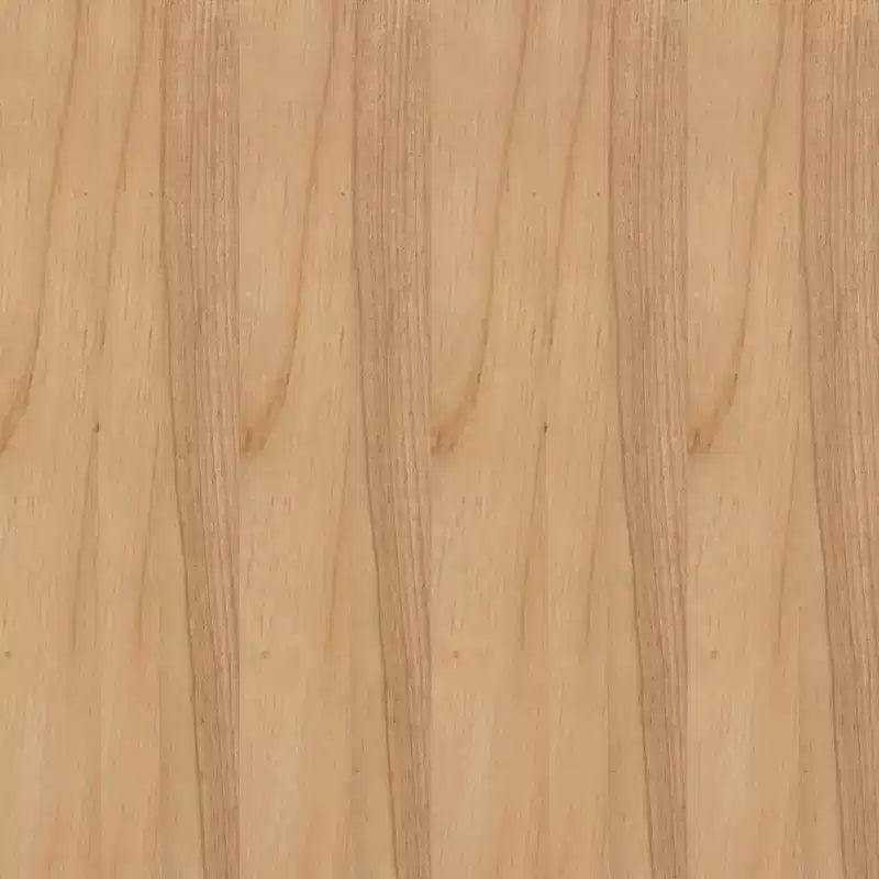 Sedia da pranzo e d'accento in rattan di canna con struttura in legno massello e sedile imbottito